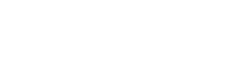 Office of Inspector General logo